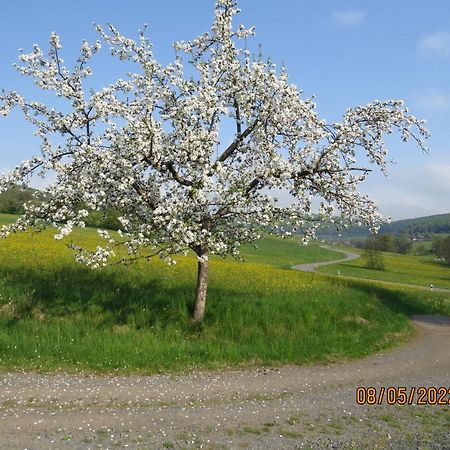 Ferienwohnung Rhoen Kaltennordheim Zewnętrze zdjęcie